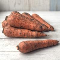 Морковь органическая, Одна Органика, Краснодарский край