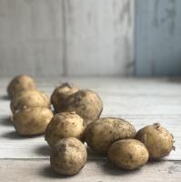 Картофель органический, БиоТория (ГКФХ Нестерова) 