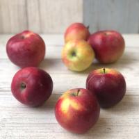 Яблоки органические, сорт Либерти, Агроном-сад, Липецкая область 