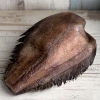 Палтус целый, потрошеный, без головы (тушки 0,5-1 кг), судовая заморозка, Мурманск