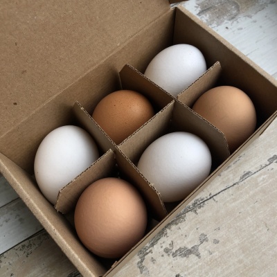 Яйцо куриное СВ, Органическая ферма М2, 6 шт