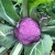 Цветная капуста фиолетовая, (О,Батат), Ростовская область